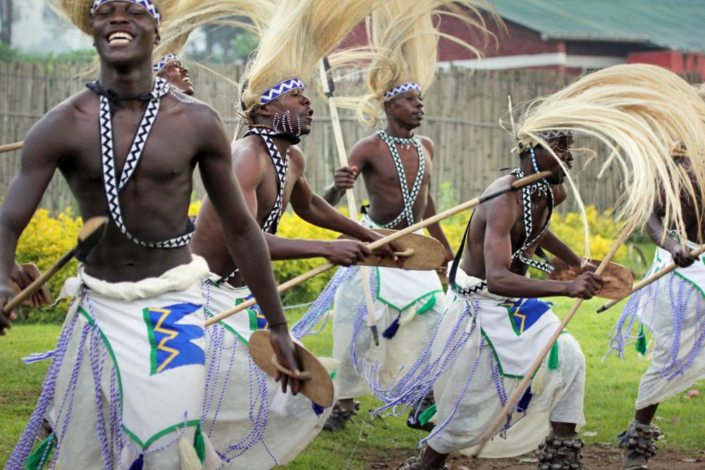 Gorilles du Rwanda : où, quand et comment les voir ?