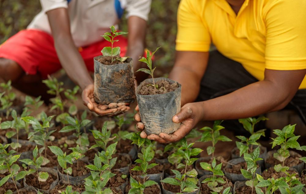 Umuganda : tout savoir sur cette journée de travail communautaire obligatoire au Rwanda
